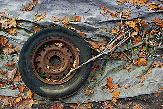 Loading Image