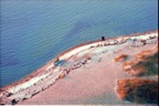 Laboe (wirklich, Abendsonne)