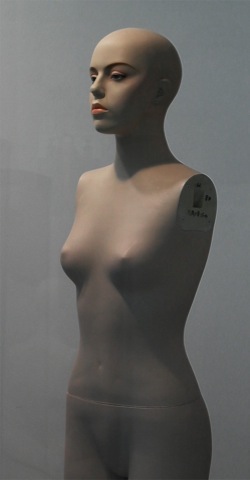 Loading Image